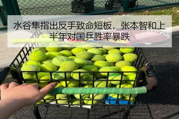 水谷隼指出反手致命短板，张本智和上半年对国乒胜率暴跌